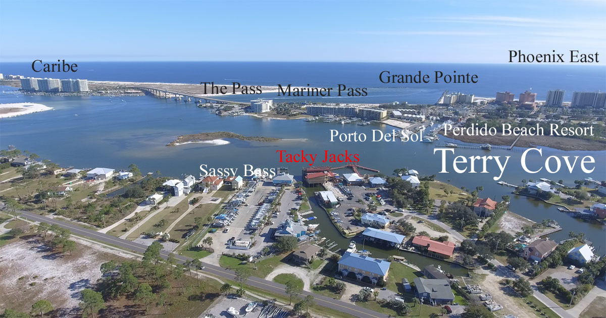 Terry Cove aerial image with condos and places labeled